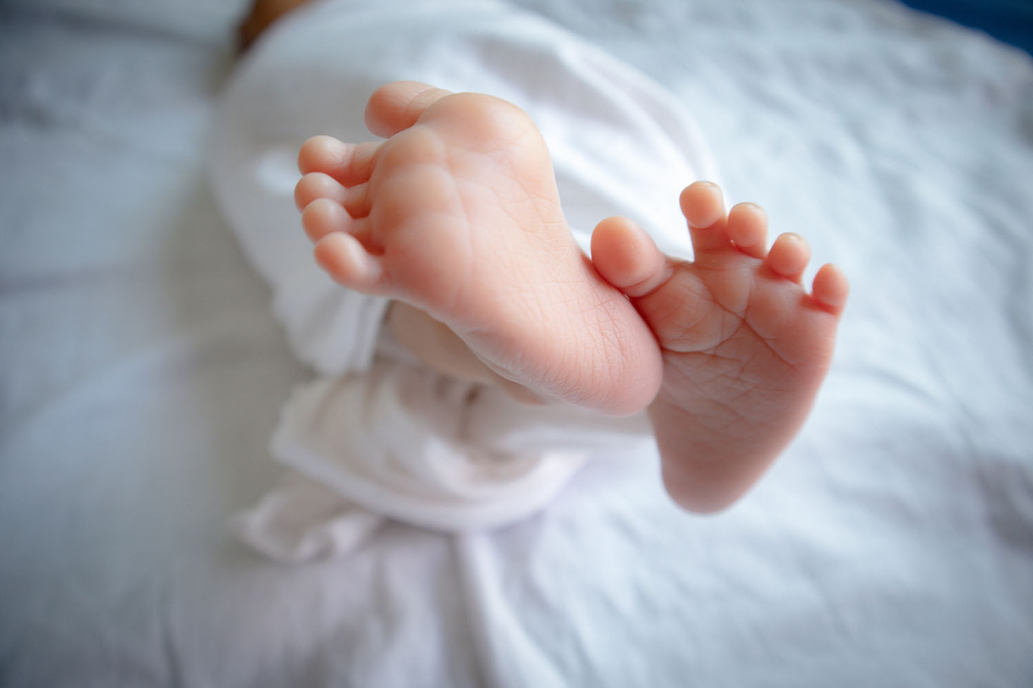 Fun Foot Facts